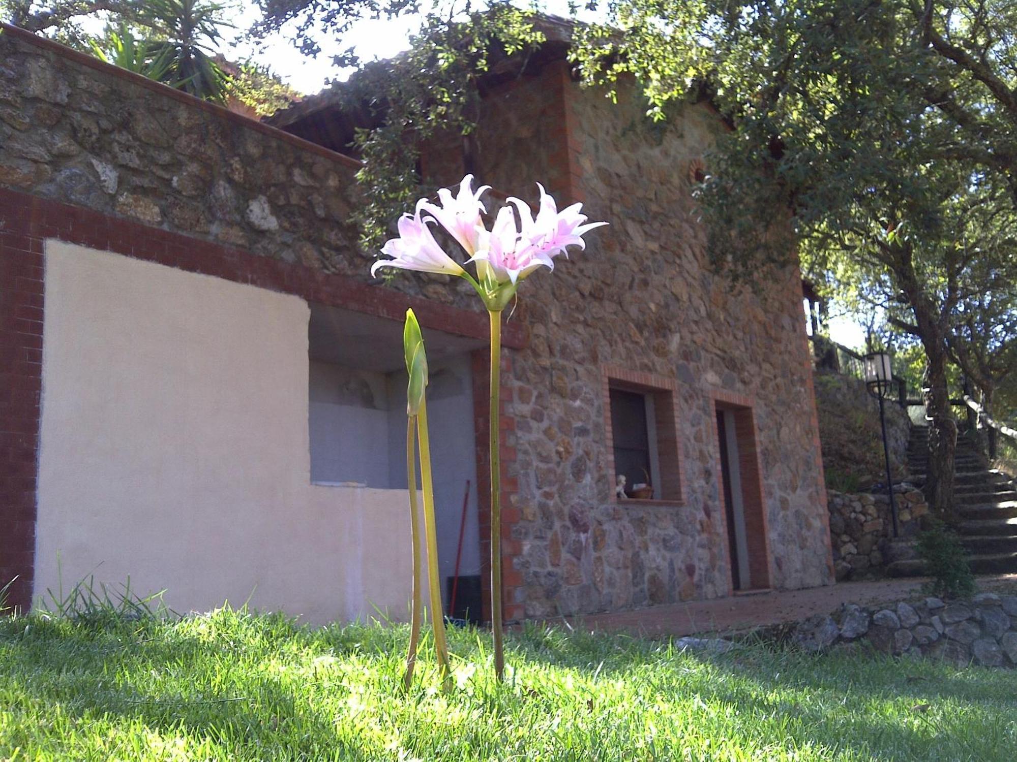 La Quercia Guest House Arbus Exterior photo